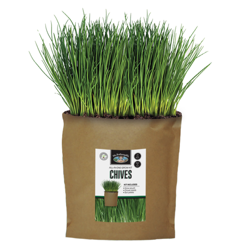Buy DIY Chives Seed Kit online at My Seeds