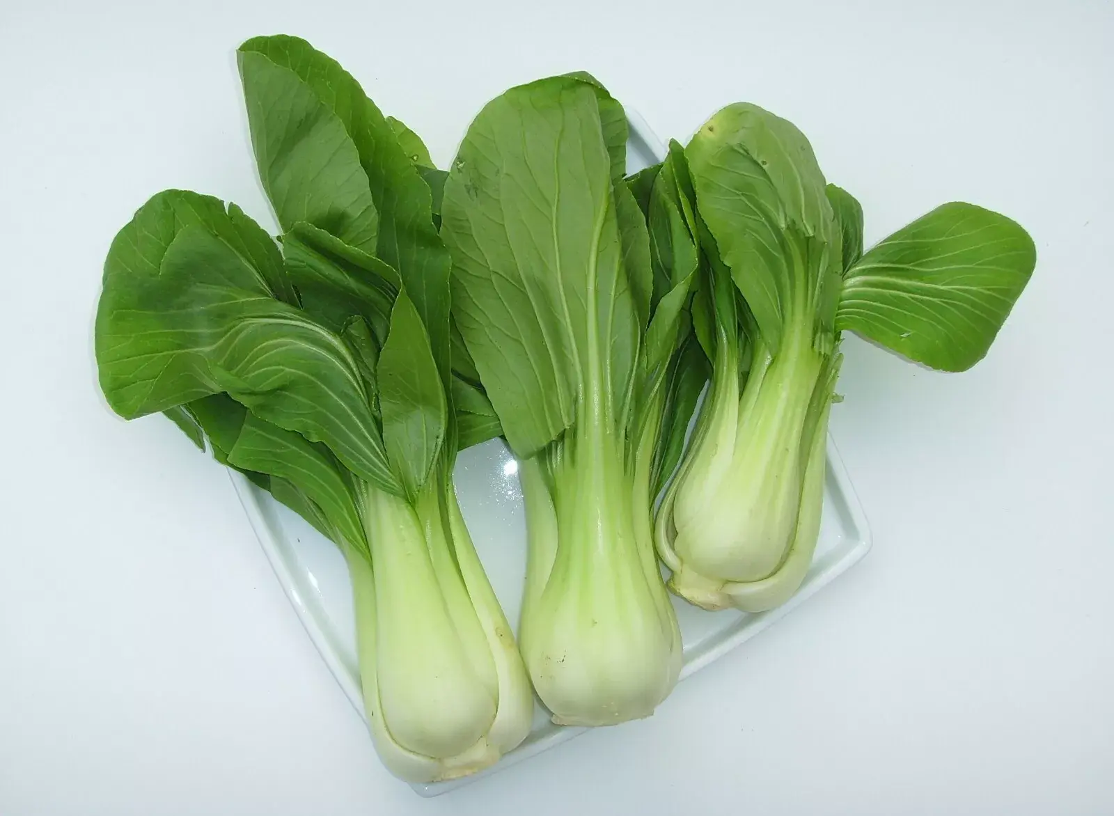1,000 Pak Choy Cabbage Seeds | Vegetable Seeds
