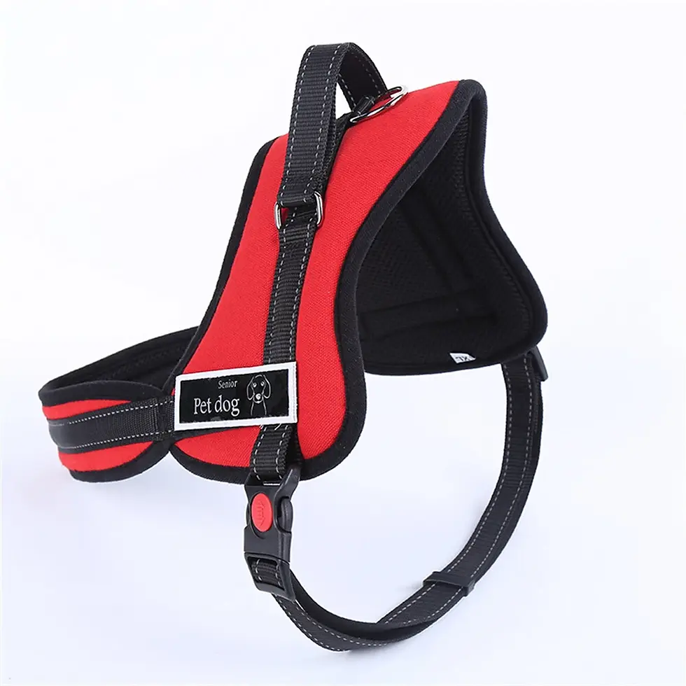 Thumbnail: No-Pull Adjustable Dog Harness Vest Dog Clippers | Dog Blanket