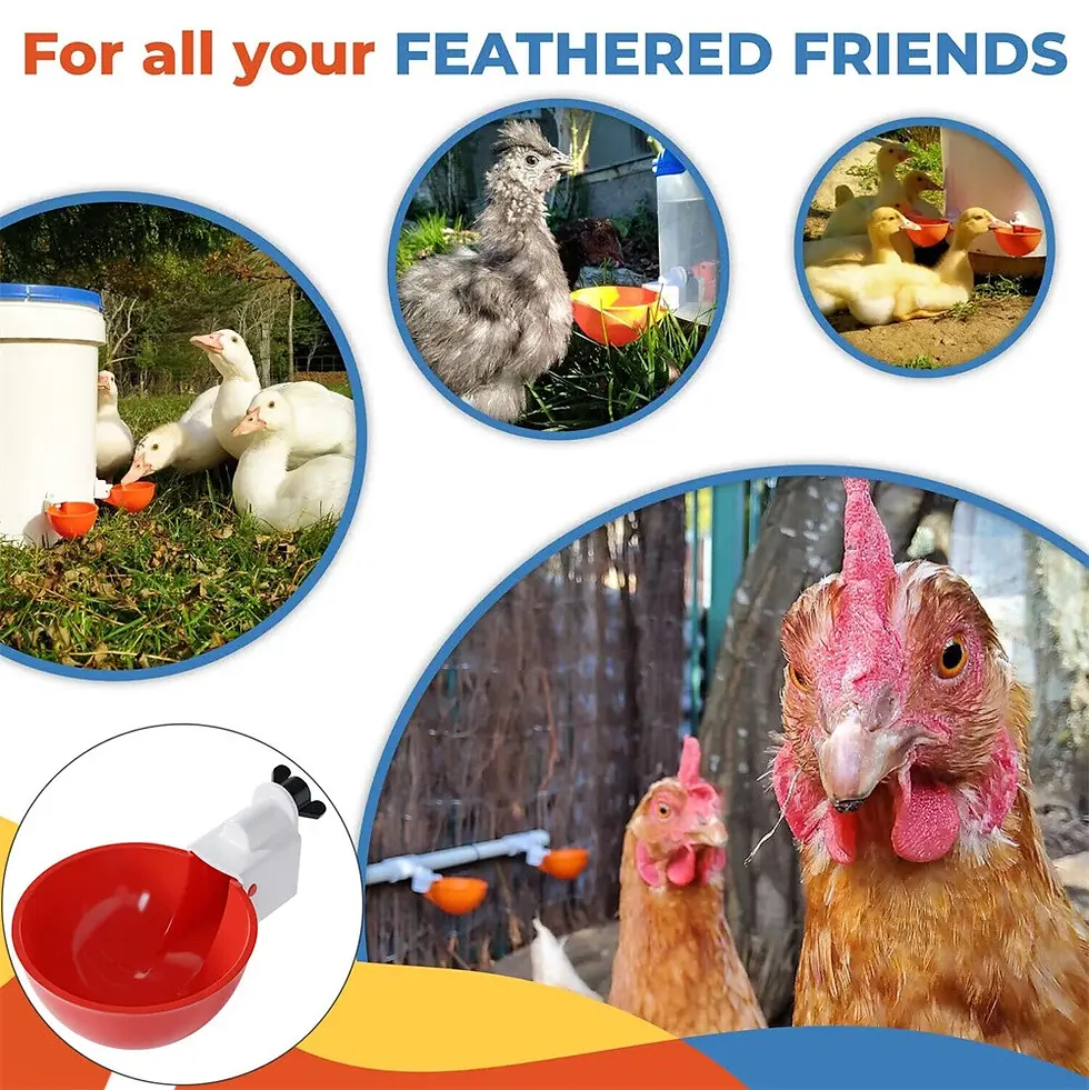Thumbnail: Chicken Waterer Cup Feeders Birds Store Near Me| Bird Shops| Bird Cage|