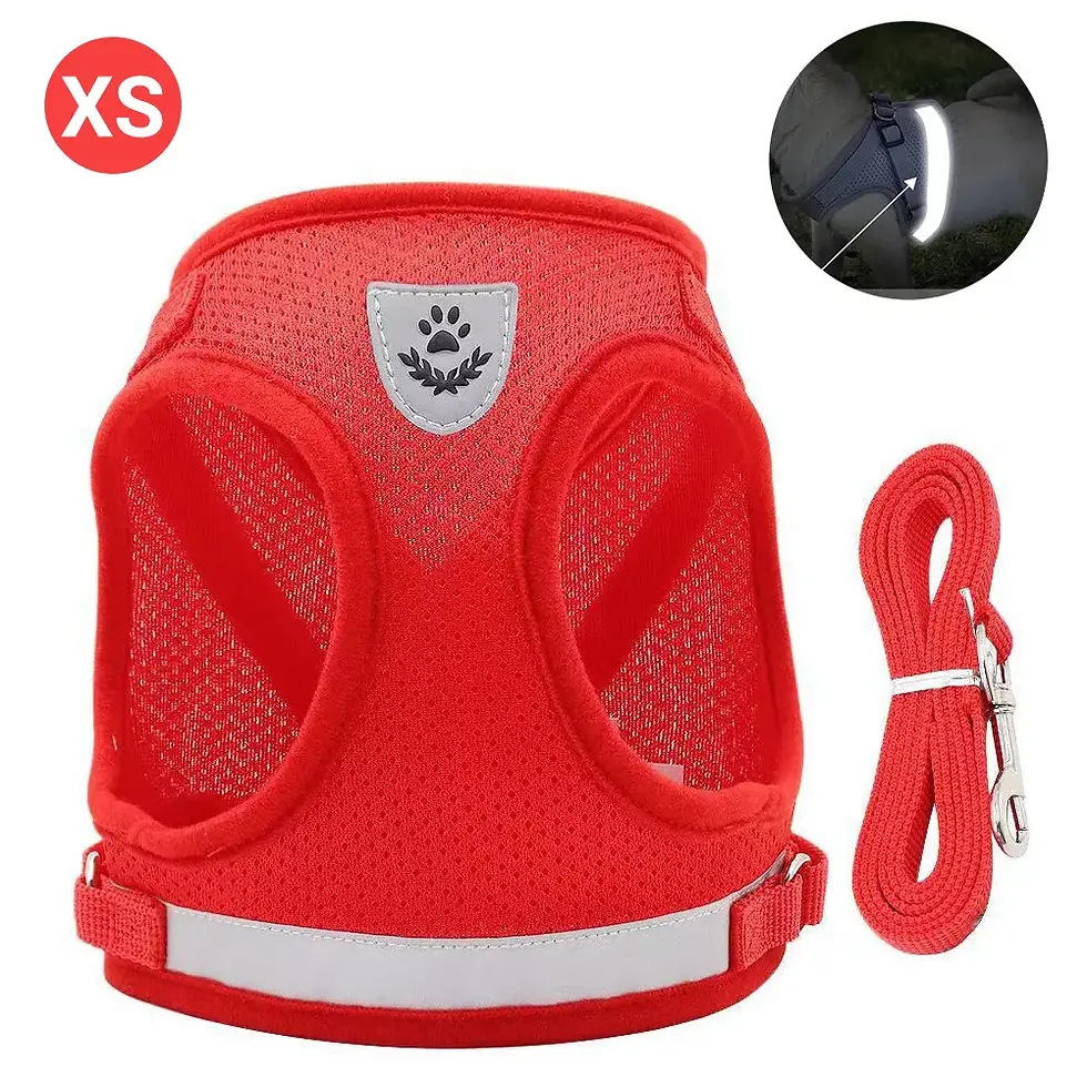 Thumbnail: Adjustable Pet Harness & Leash Set | Pet Products | Dog Clippers