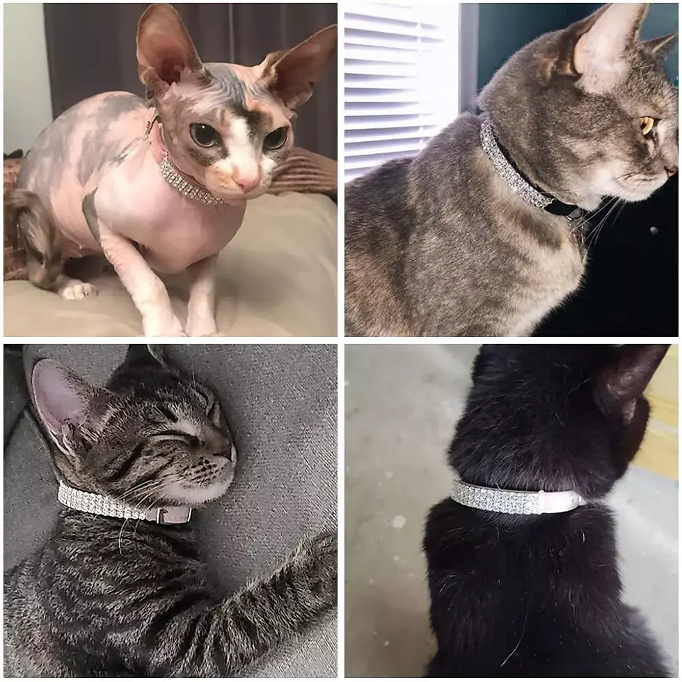 Thumbnail: Suede Rhinestone Pet Safety Collar Cat House | Cat Collar | Cat Tree