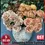 Thumbnail: Artificial Rose Bouquet | Homeware Décor | Dining Chair Cover | Dining set