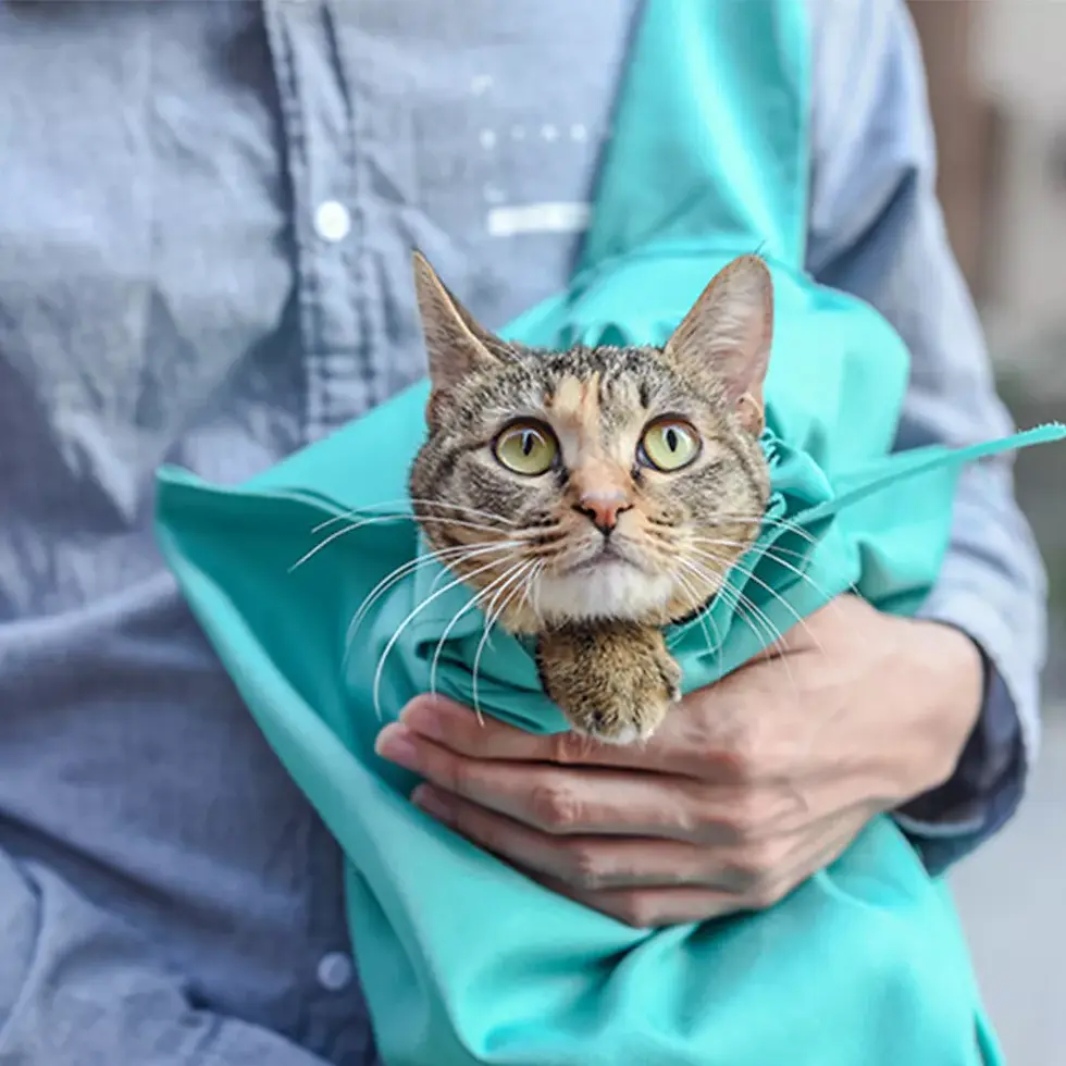 Thumbnail: Pet Carrier Sling Shoulder Bag | Pet Products | Dog Clippers