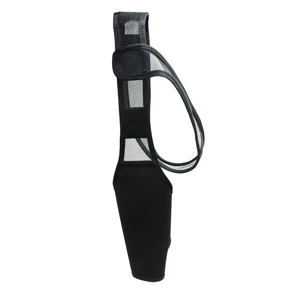 Thumbnail: Dog Knee & Leg Support Brace | Pet Products | Dog Clippers