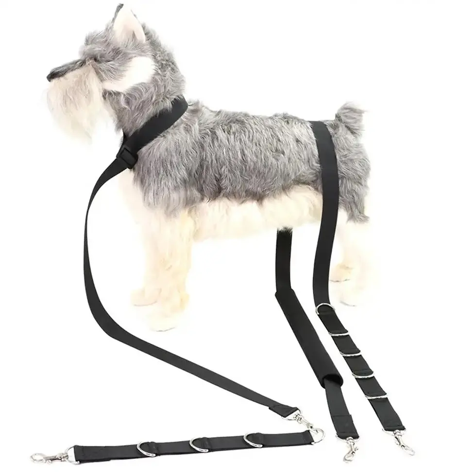 Thumbnail: Dog Grooming Harness Safety Straps | Pet Products | Dog Clippers