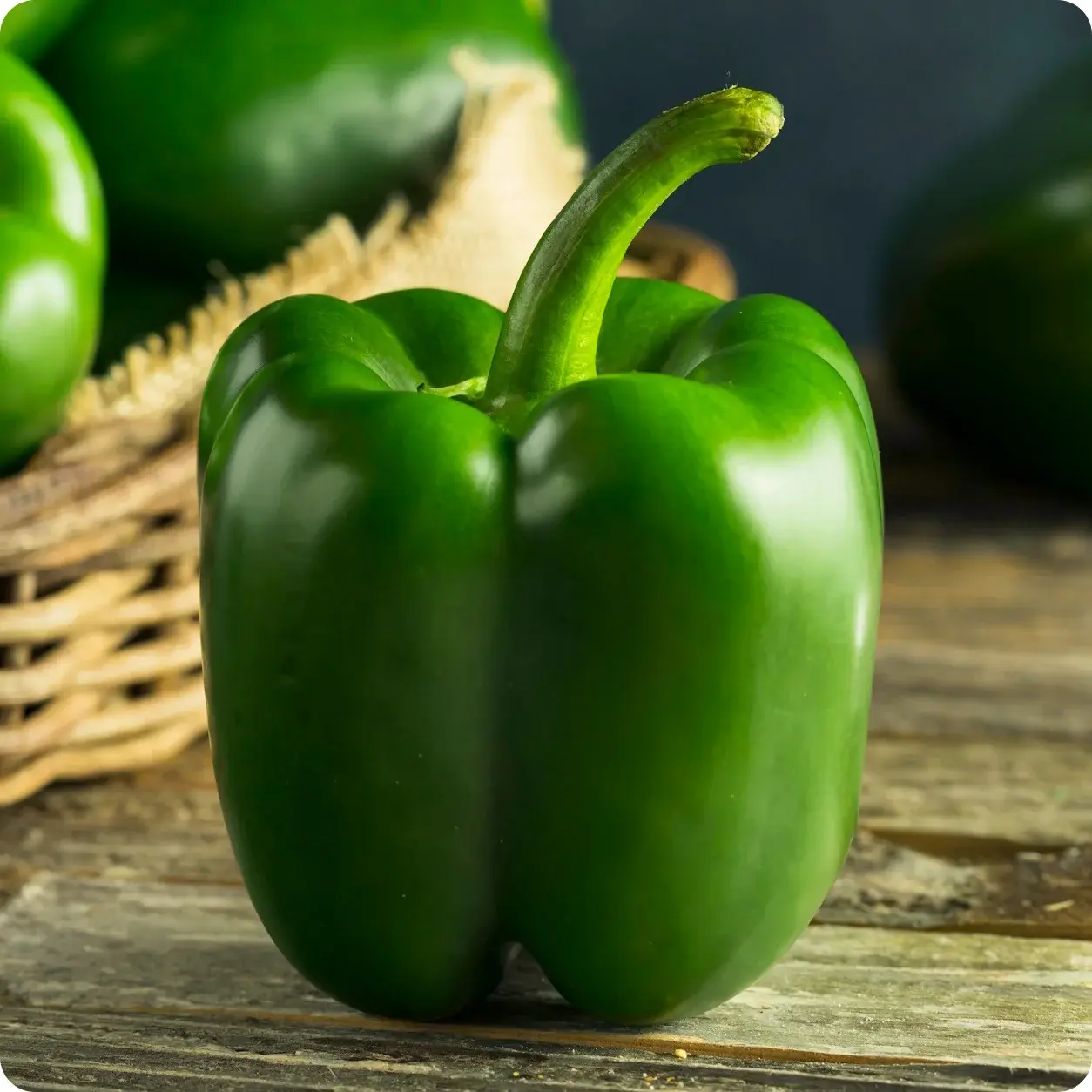 120+ Emerald Giant Bell Pepper Seeds | Seed Supply | Plants on sale online