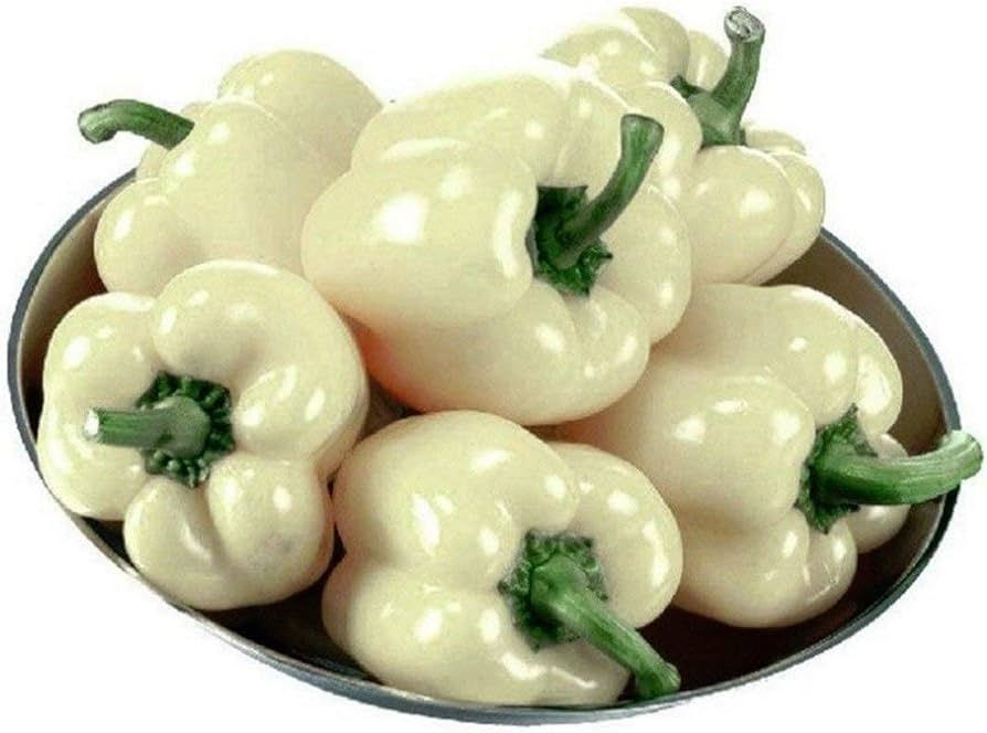 120+ White Bell Pepper Seeds | Seed Supply | Plants on sale online