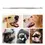 Thumbnail: 2x Teeth Cleaning Pet Dental Care Plaque Cleaner Dog Tooth Scaler Scraper Cat