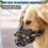 Thumbnail: Adjustable Dog Silicone Muzzle Cage Dog Clippers | Dog Blanket