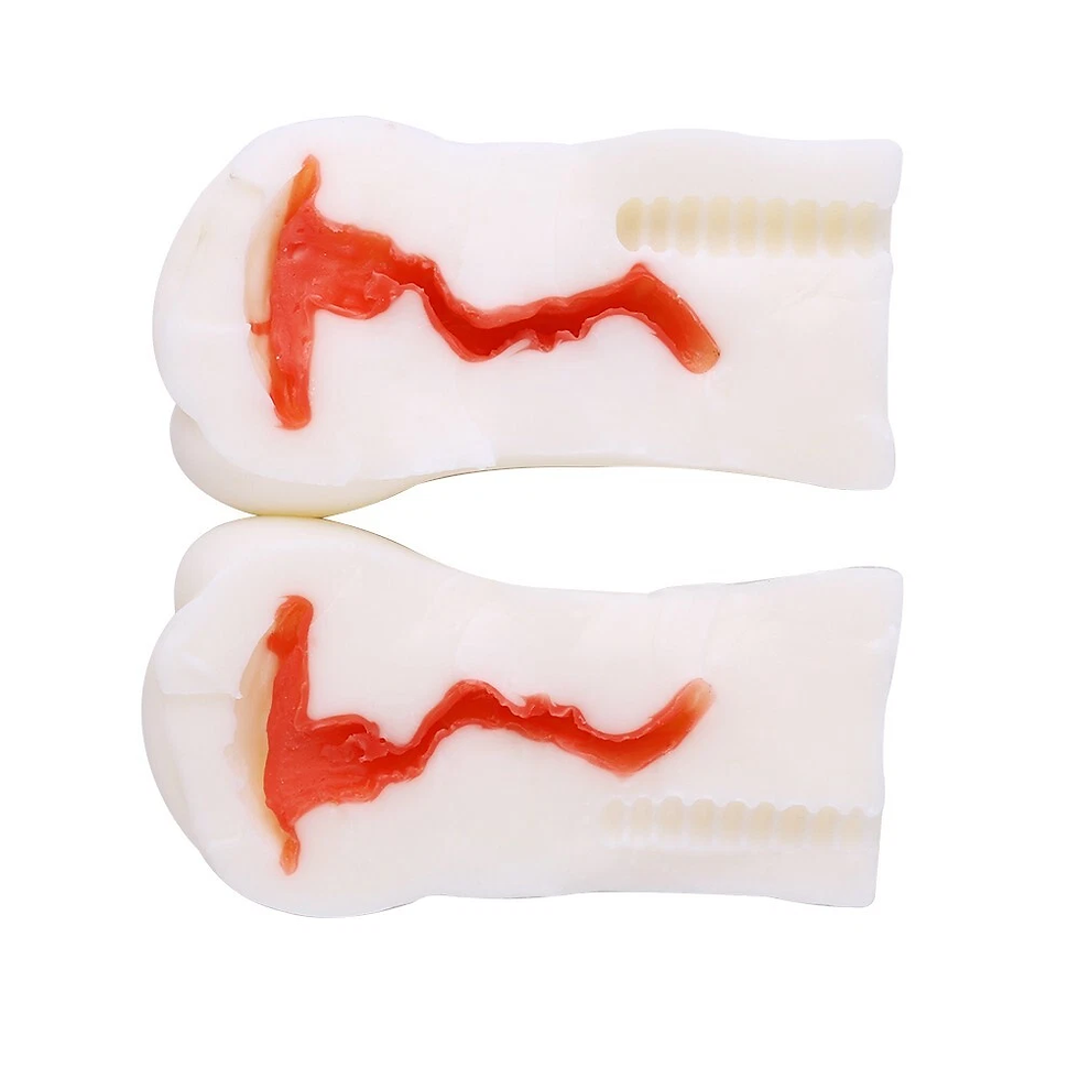 Thumbnail: Masturbation Stroker Vagina Pocket Pussy | Male Masturbator