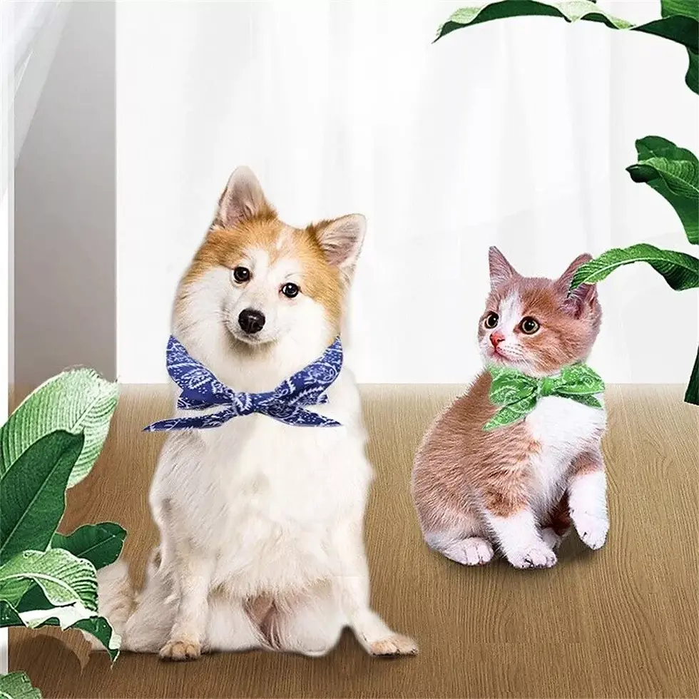 Thumbnail: Cooling Headband Scarf | Gym Ball | Thick Yoga Mat | Exercise Mat | Gym Gloves