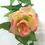 Thumbnail: 2.4m Artificial Silk Rose | Wedding Décor | Confetti | Wedding Venues | Wedding Bouquets