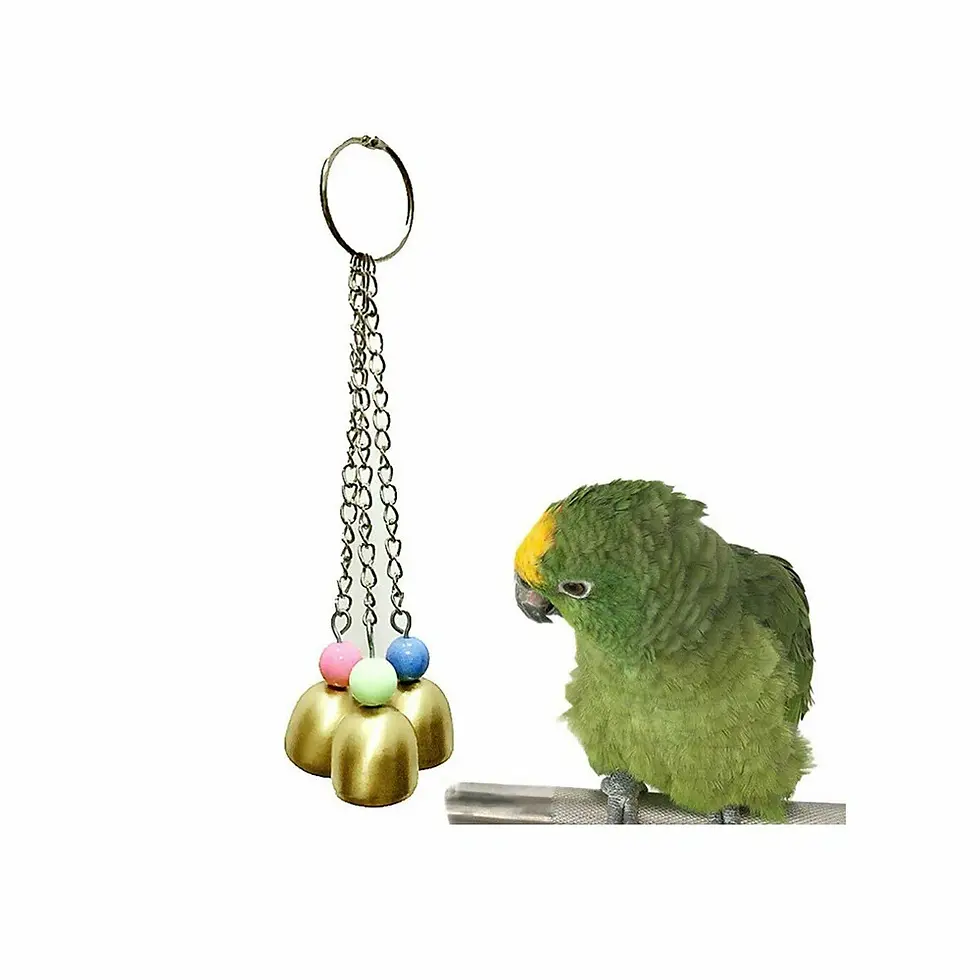 Thumbnail: Hanging Parrot Swing Toy with Bell Birds Store Near Me| Bird Shops| Bird Cage| Bird Seed