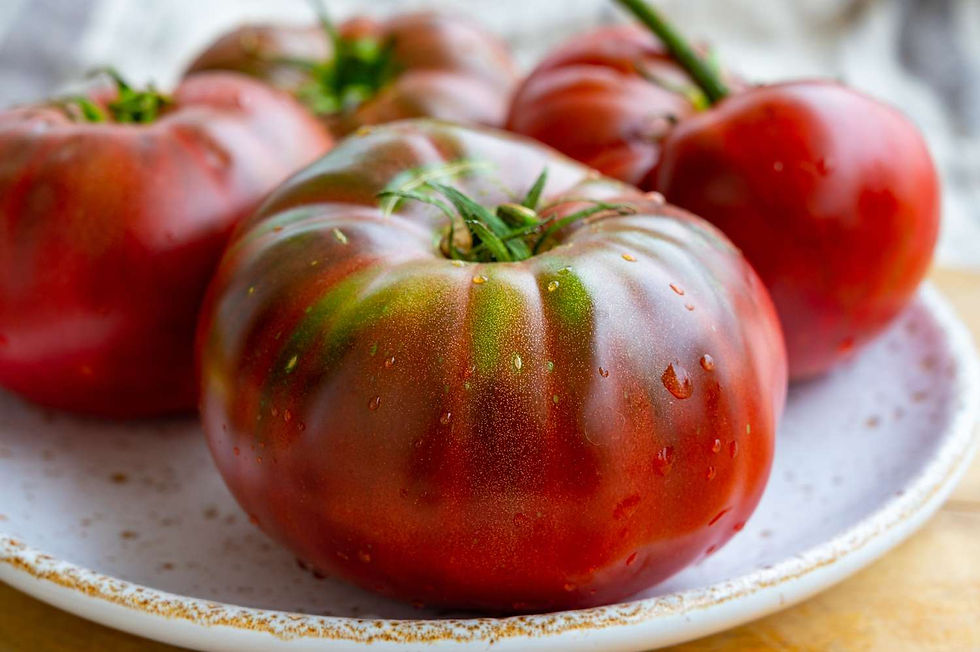 30+ Russian Black Krim Tomato Seeds | Seed Supply | Plants on sale online