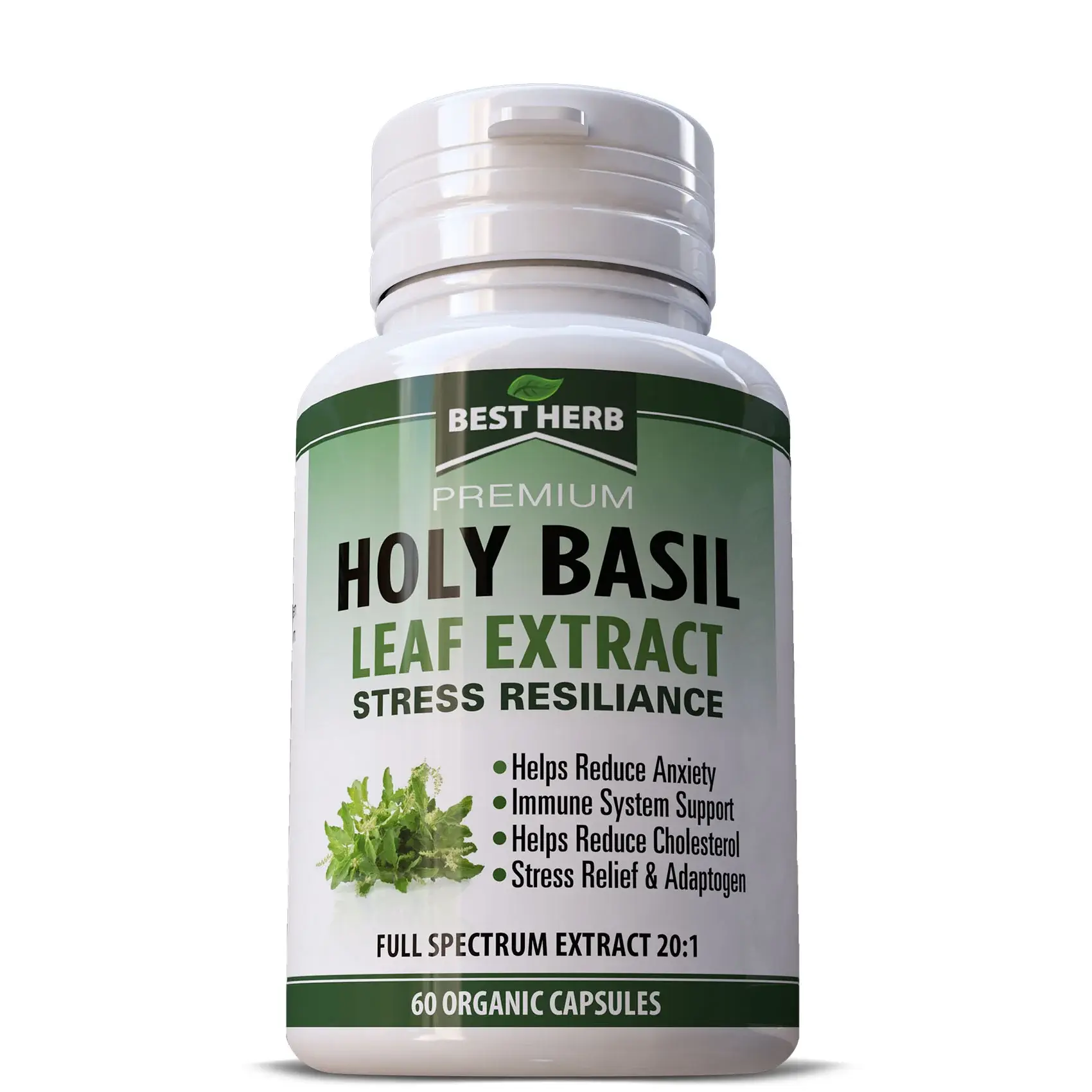 Holy Basil Herb Pills| Herbal supplements for anxiety Sacred Basil