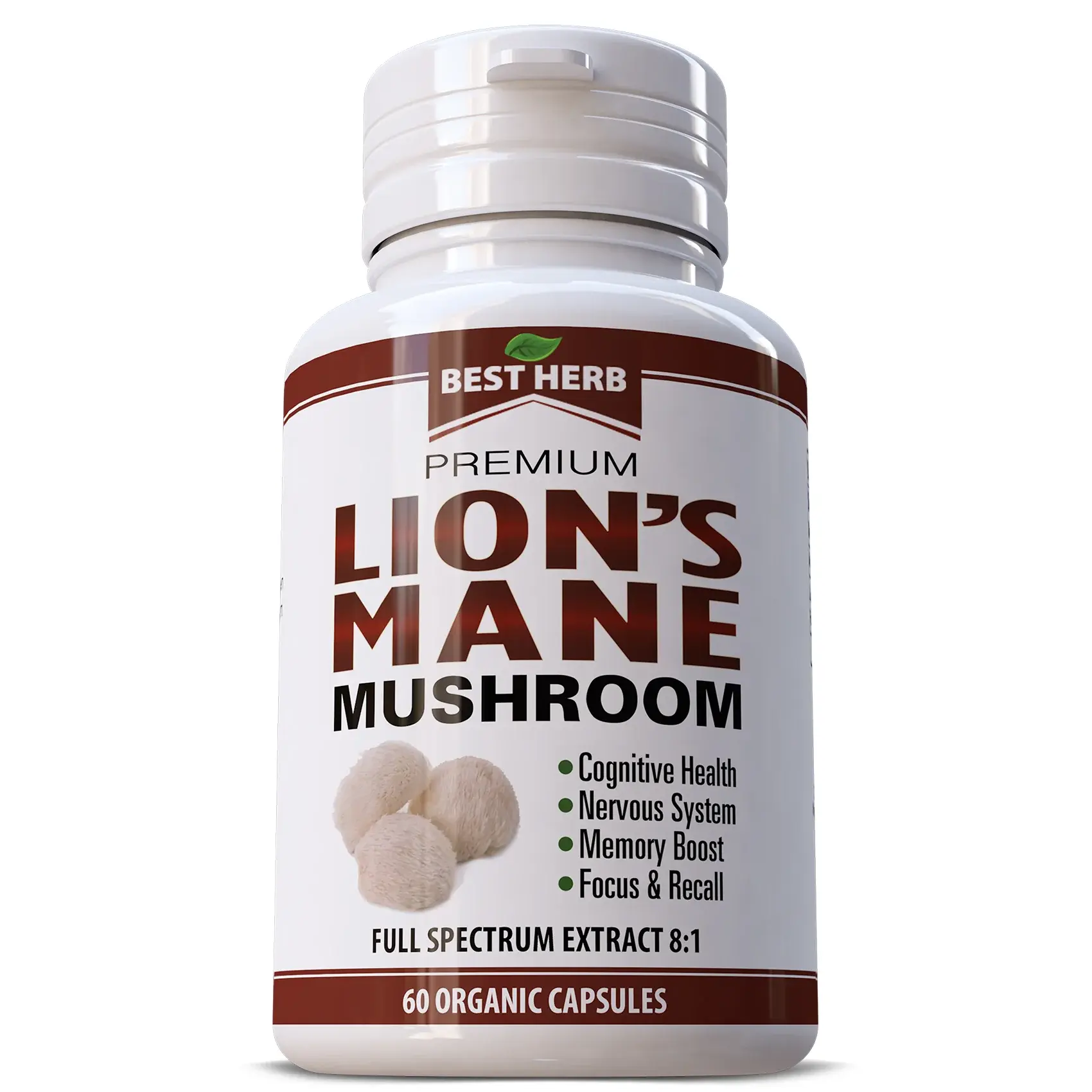 Lions Mane Mushroom Supplement | Lions Mane adhd