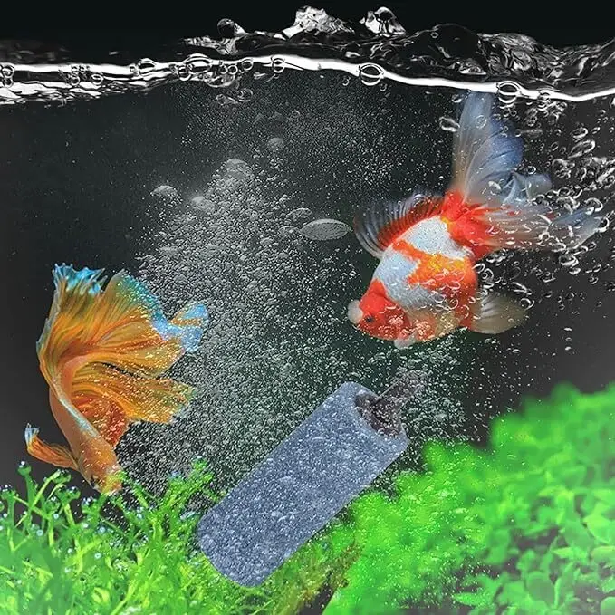 Thumbnail: Aquarium Air Stone Bubble Diffuser Bait Shop Near me | Fishing Lures