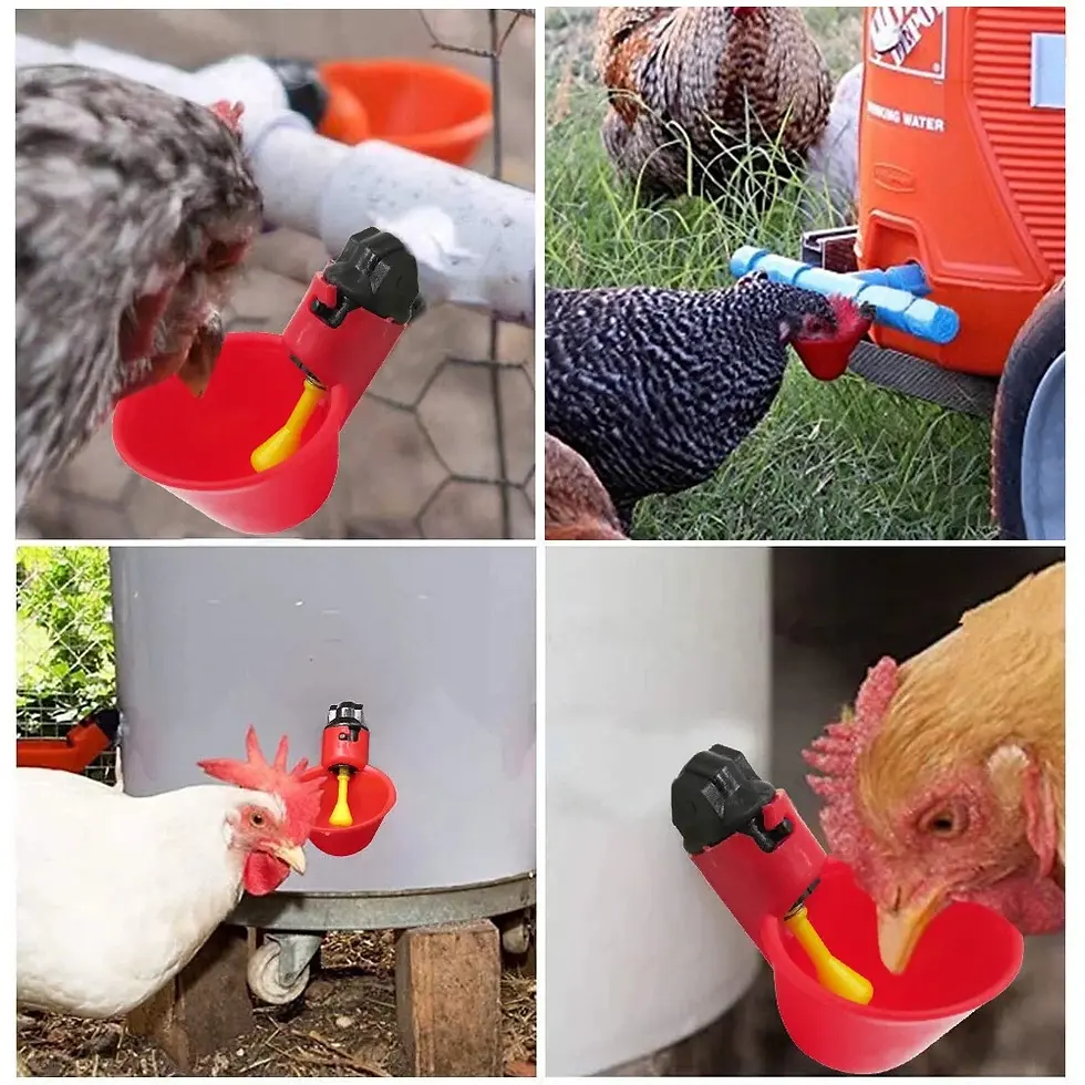 Thumbnail: Automatic Poultry Water Cups | Pet Products | Dog Clippers