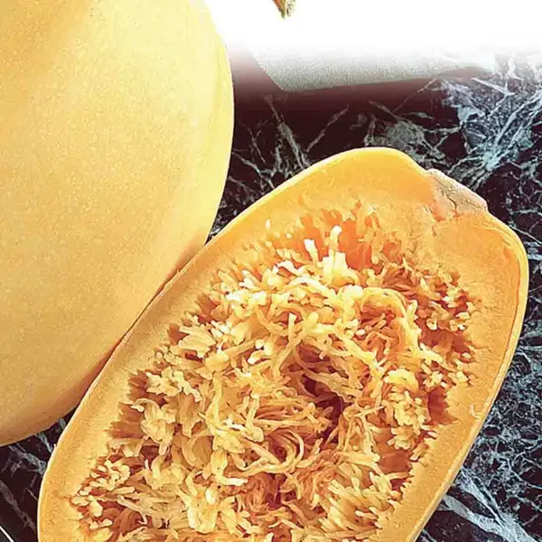25+ Spaghetti Squash Seeds | Seed Supply | Plants on sale online