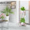 Thumbnail: Buy Plant Stand 2 Tiers Outdoor Indoor Metal Flower Pots Rack Garden Shelf online at My Seeds