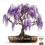 Thumbnail: Buy DELUXE Bonsai Growing Kit - Cherry Blossom Wisteria Red Maple Seeds Pot online at My Seeds