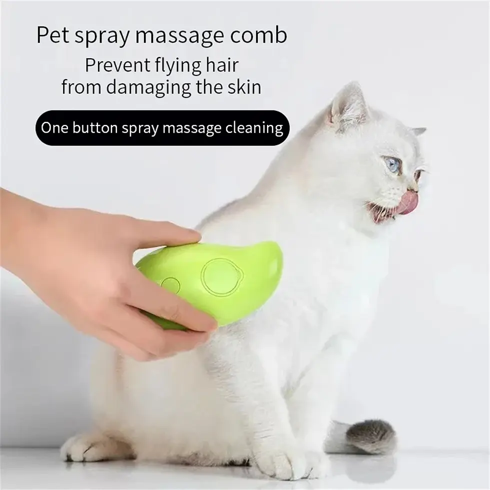 Thumbnail: 1/2xCat Steam Brush 3 In 1 Pet Electric Spray Massage Comb Pet Hair Removal Comb