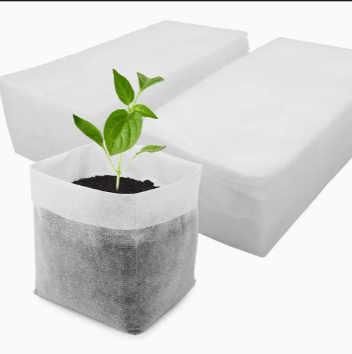 Thumbnail: My Seeds VERTICAL CLIMBING STRAWBERRY GARDEN KIT 🍑🍑Seeds Bag DIY Fruit🍑🍑💝