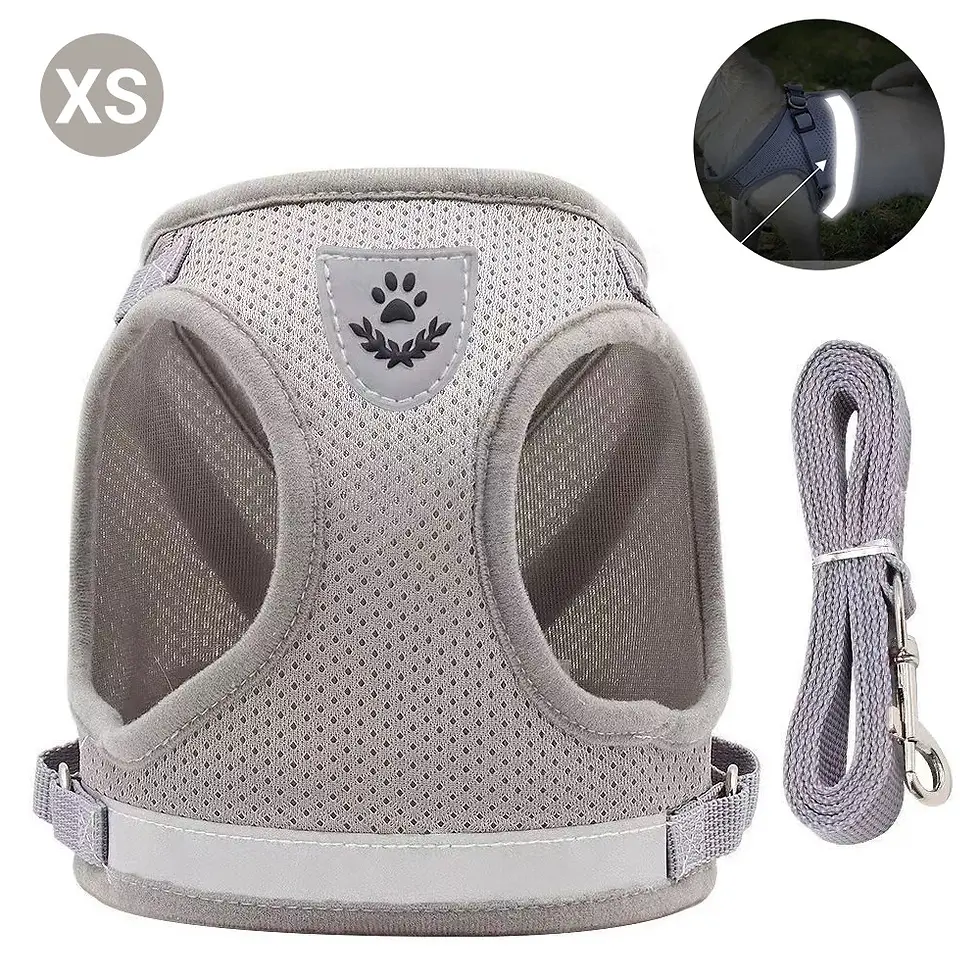 Thumbnail: Adjustable Pet Harness & Leash Set | Pet Products | Dog Clippers