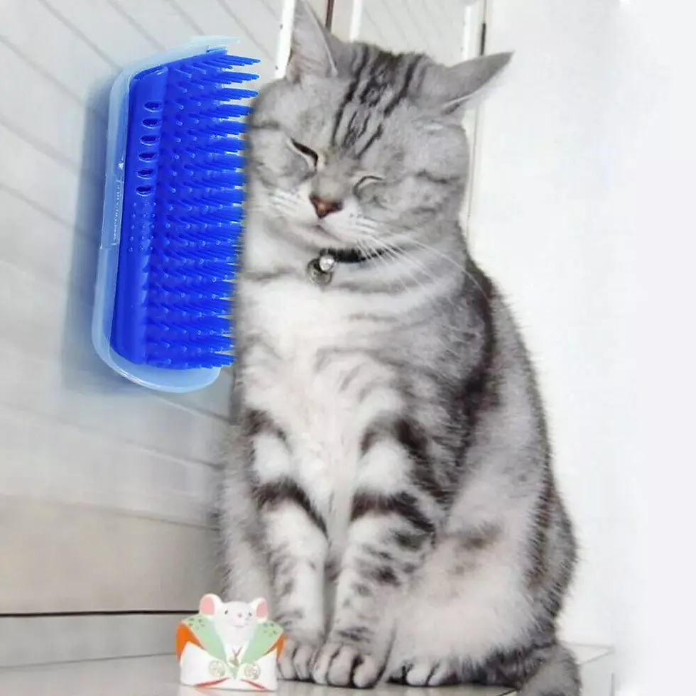 Thumbnail: 1-2X Cat Self Catnip Toy Corner Wall Scratcher Comb Grooming Massage Brush Comb