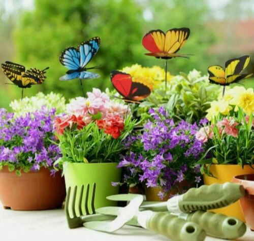 Thumbnail: Buy Fairy Garden Accessories - 6 x Different Butterflies Stakes online at My Seeds