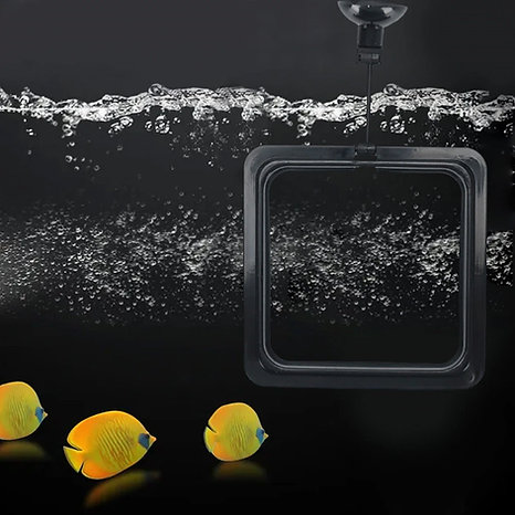 Floating Fish Feeding Ring for Aquarium Bait Shop Near me | Fishing Lures
