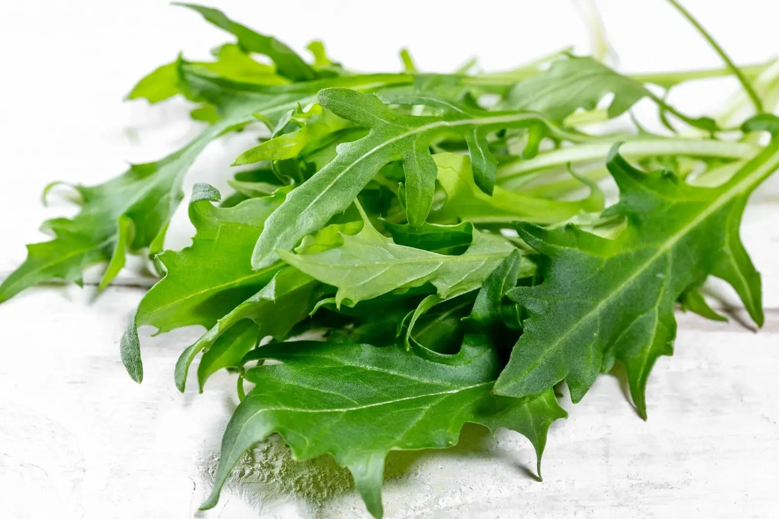 1000 Arugula Seeds | Vegetable Seeds