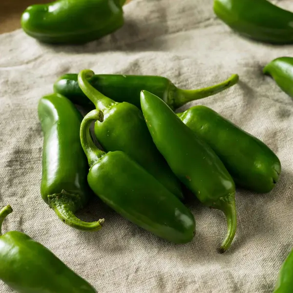 25+ Tam Jalapeno Peppere Seeds | Seed Supply | Plants on sale online