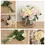 Thumbnail: 1X Silk Peony Artificial Fake Flowers | Wedding Décor | Confetti | Wedding Venues | Wedding Bouquets