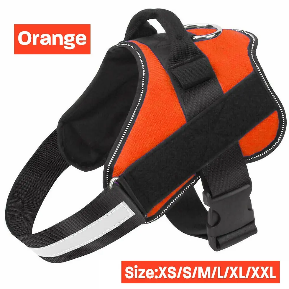 Thumbnail: Adjustable Reflective Dog Harness | Pet Products | Dog Clippers