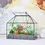 Thumbnail: Buy Glass Terrarium House Planter – Succulent Plant Glass Greenhouse with Lid AU online at My Seeds