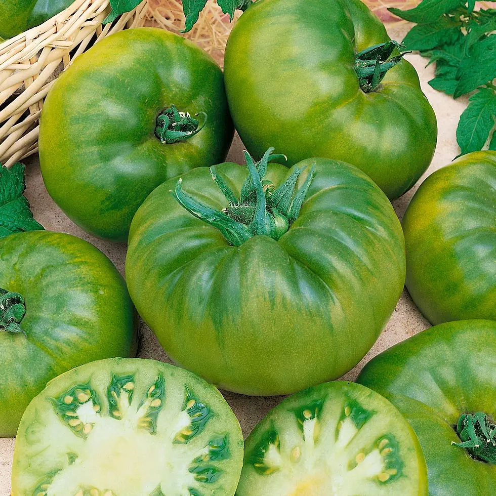120+ Cherokee Green Tomato Seeds | Seed Supply | Plants on sale online
