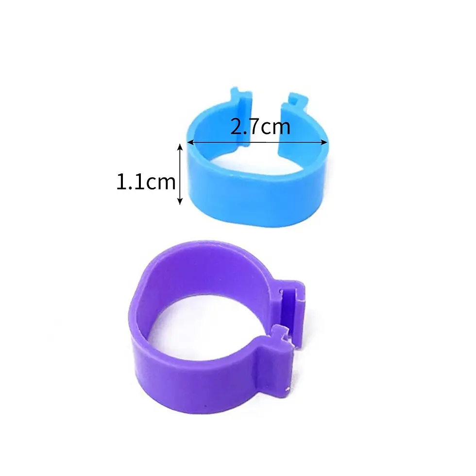 Thumbnail: Poultry Leg ID Rings | Birds Store Near Me| Bird Shops| Bird Cage| Bird Seed