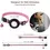 Thumbnail: Reflective Adjustable Cat Collar for AirTag Cat House| Cat Collar| Cat Tree