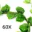 Thumbnail: UP 60X Artificial Ivy Vine | Wedding Décor | Confetti | Wedding Venues | Wedding Bouquets