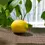 Thumbnail: 10PCS Artificial Fake Lemons | Wedding Décor | Confetti | Wedding Venues | Wedding Bouquets