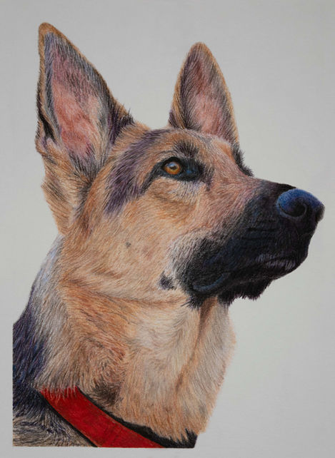 German Shepard 2, 2023