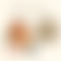 Eine alte Frau mit einer Pflegerin die vor einem kleinen Haus steht