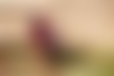 - Flere ting begynder at falde i hak