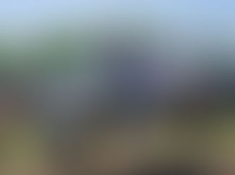 Ma(d)sser af danske højdepunkter i Teutcshenthal!