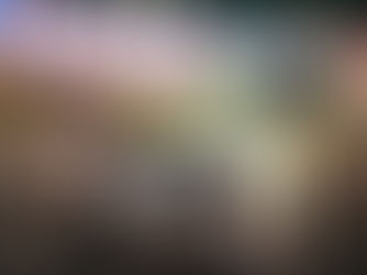 Startlister til VM i Arnhem