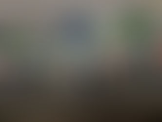 2015 Hawkstone Park MX