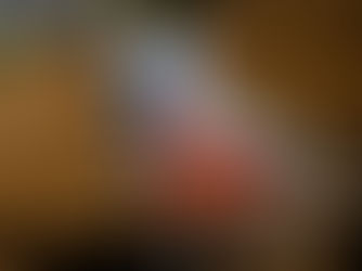 Én mester fundet i Denver