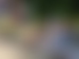 Startlister til Fastlane MX Masters i Herning